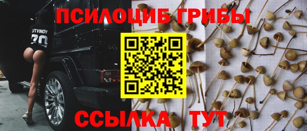 Родники  Галлюциногенные грибы Cubensis  купить наркотик  Вход с VPN  Галлюциногенные грибы мухоморы 
